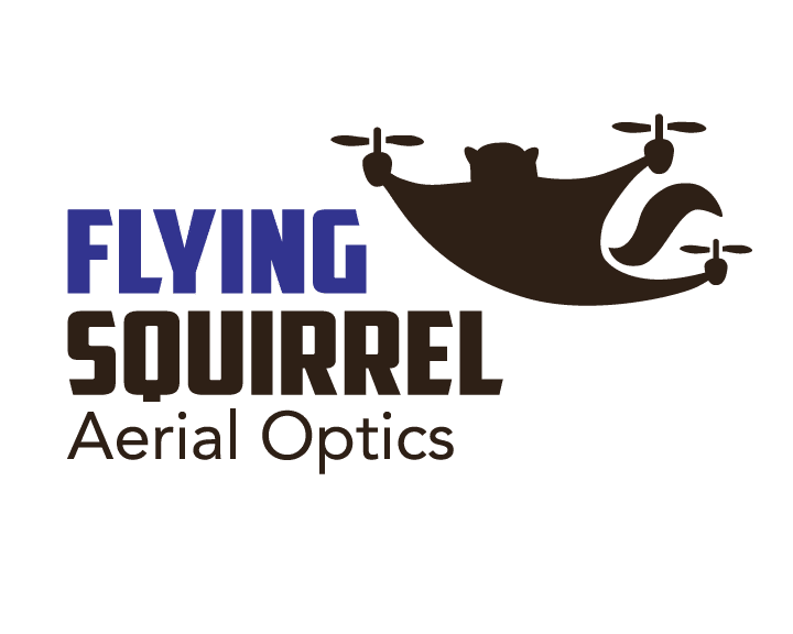 Flying Squirrel Logo by PyroGraphics for Local Agency